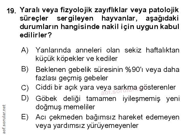 Soru 19