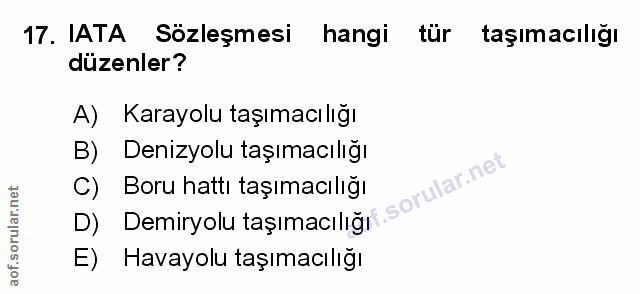 Soru 17