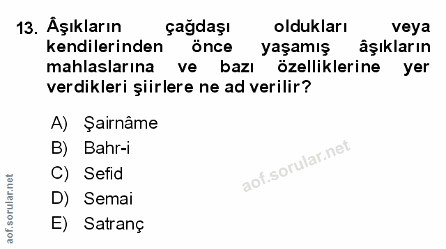 Soru 13