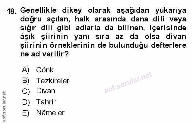 Soru 18