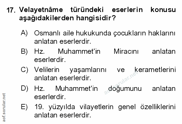 Soru 17