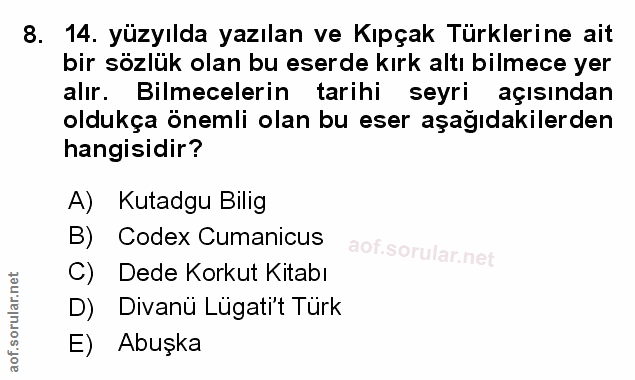 Soru 8