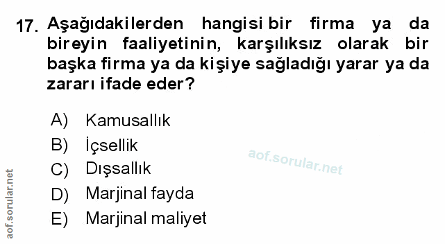 Soru 17