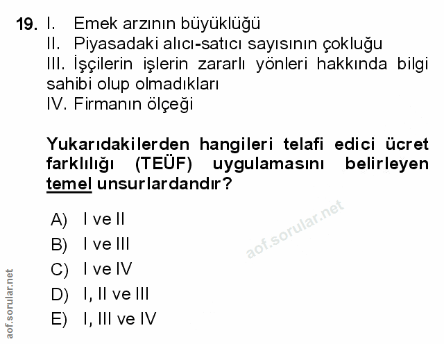 Soru 19