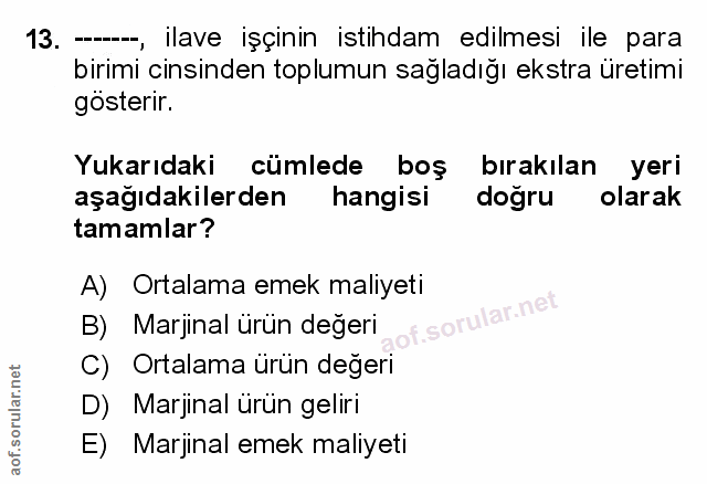 Soru 13