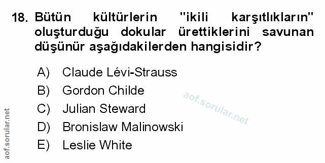 Soru 18