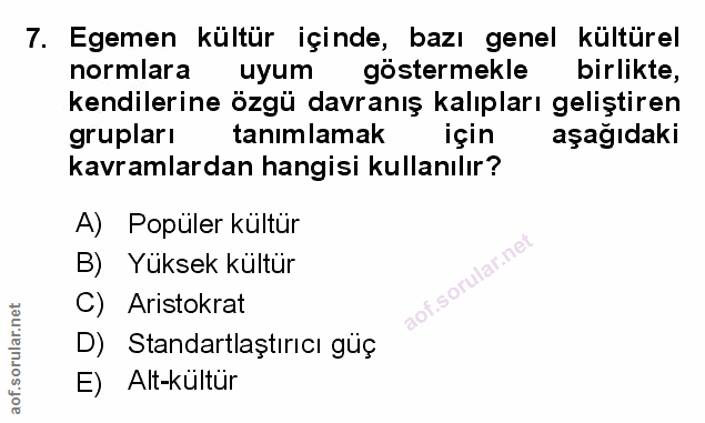 Soru 7