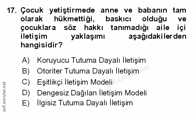 Soru 17