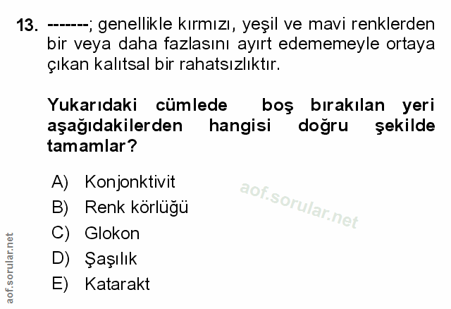 Soru 13