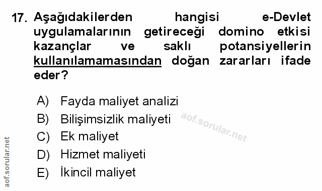 Soru 17