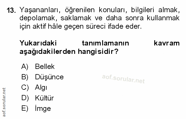 Soru 13