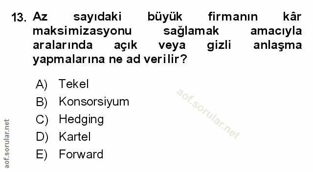 Soru 13