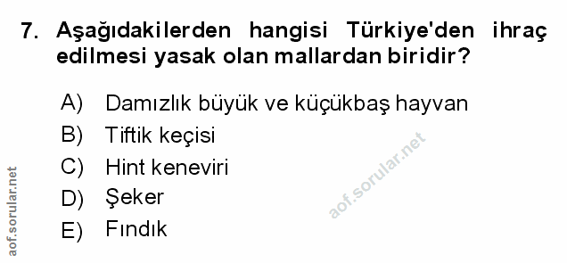 Soru 7