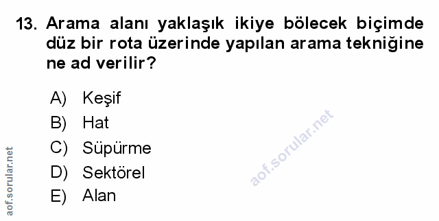 Soru 13
