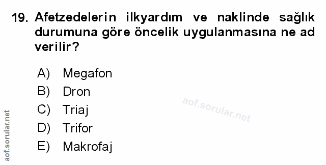 Soru 19