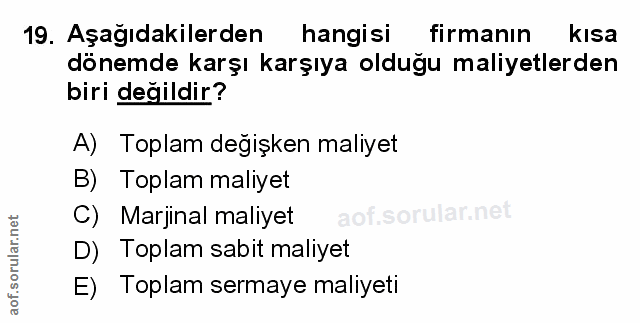 Soru 19