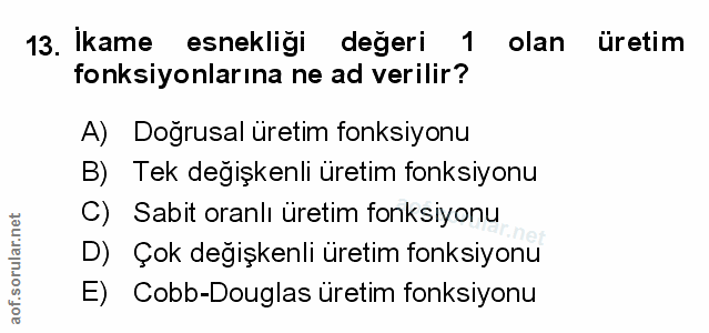 Soru 13
