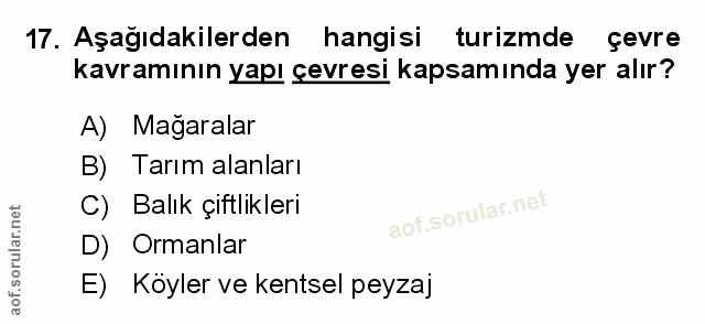 Soru 17
