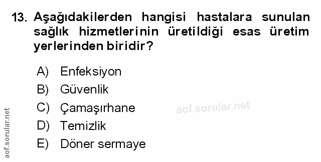 Soru 13