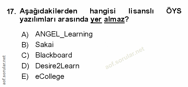 Soru 17