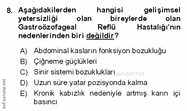 Soru 8
