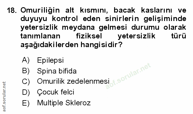 Soru 18