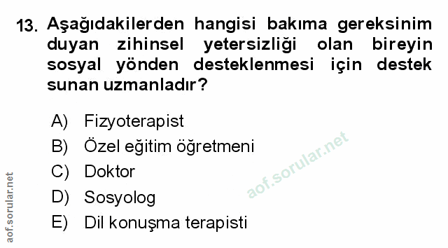 Soru 13