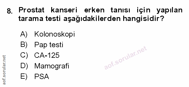Soru 8