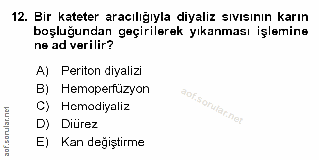 Soru 12