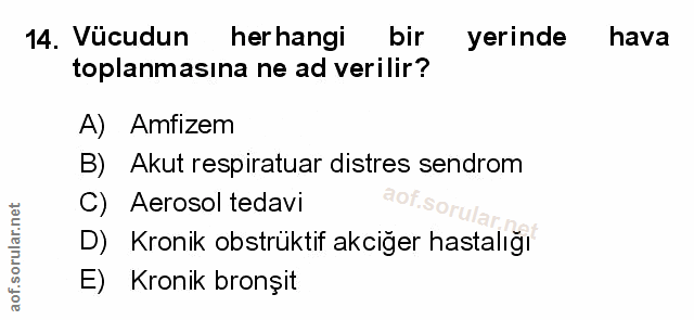 Soru 14