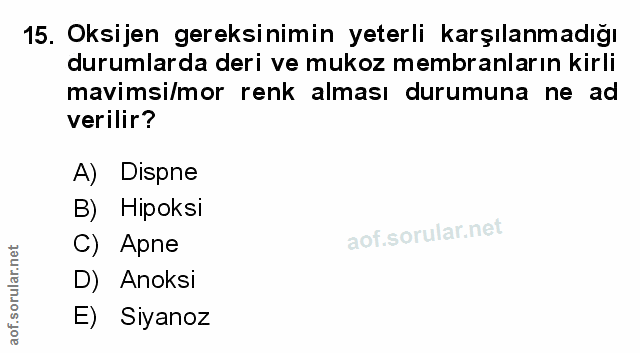 Soru 15