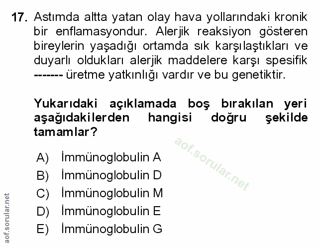 Soru 17