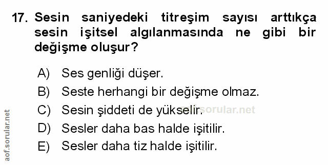 Soru 17