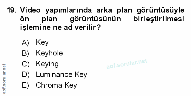 Soru 19