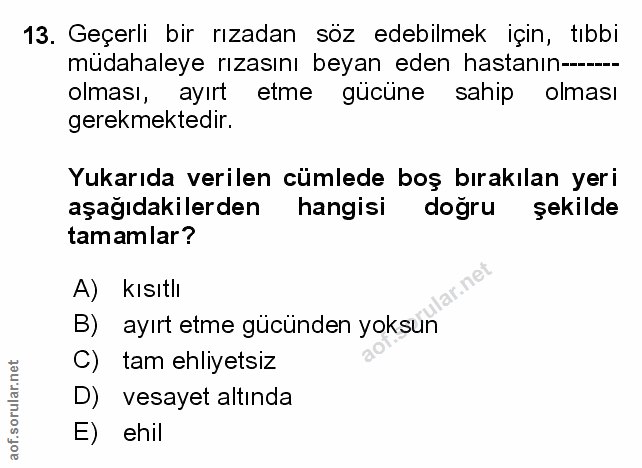 Soru 13