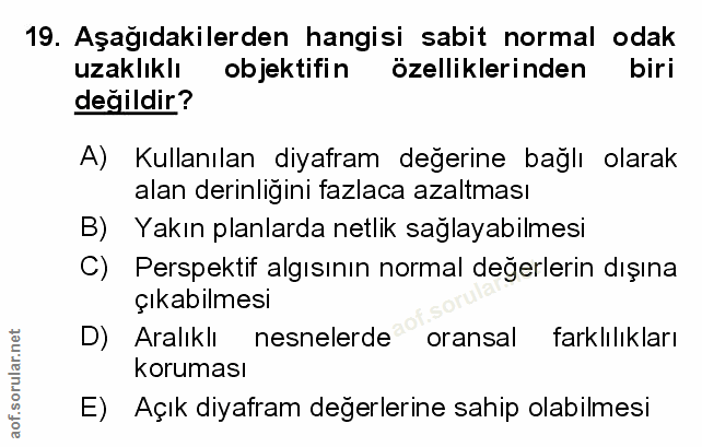Soru 19