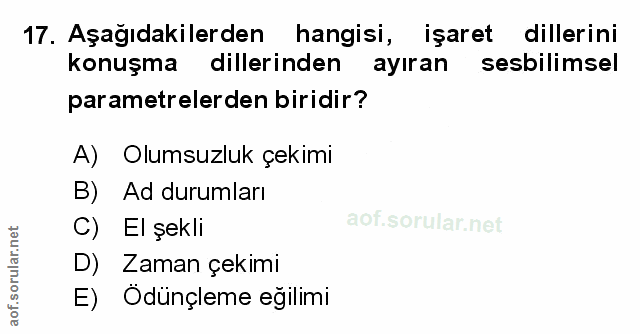 Soru 17