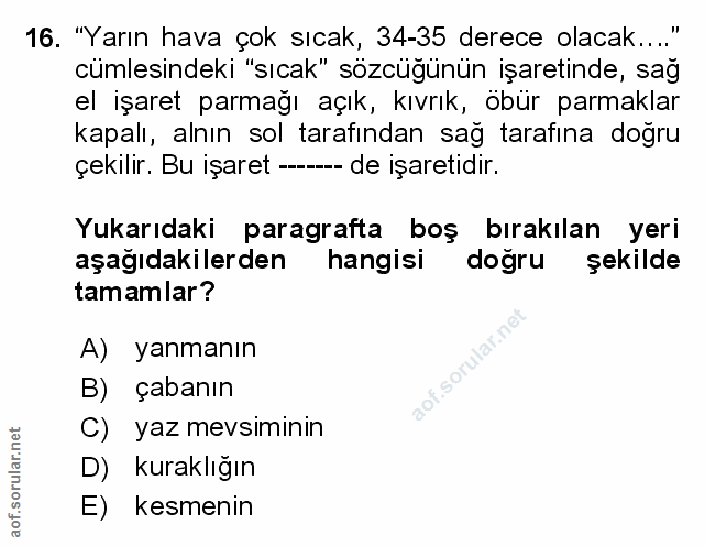 Soru 16