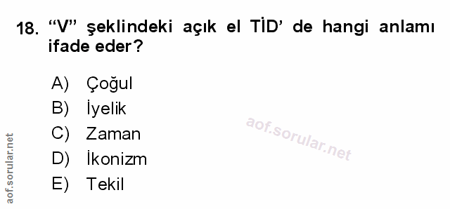 Soru 18