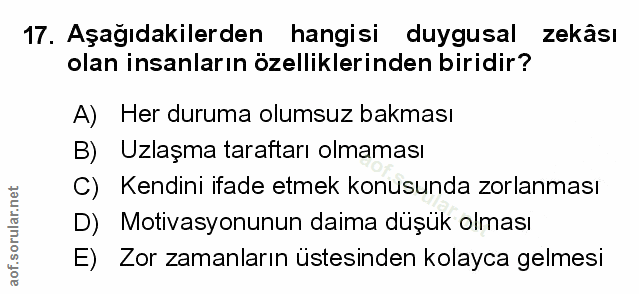 Soru 17