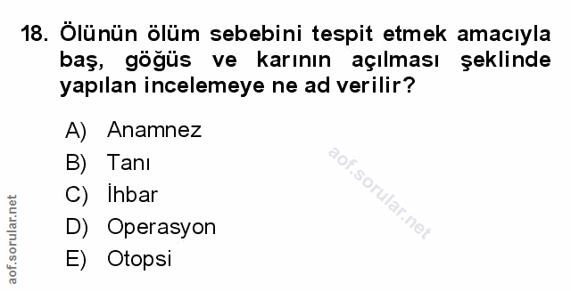 Soru 18