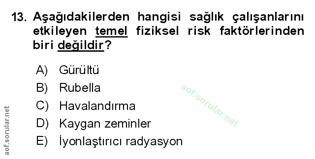 Soru 13