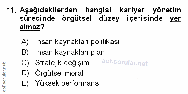 Soru 11