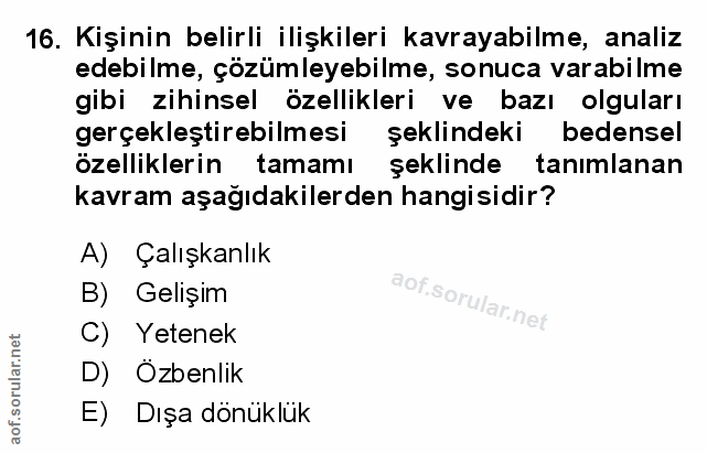 Soru 16