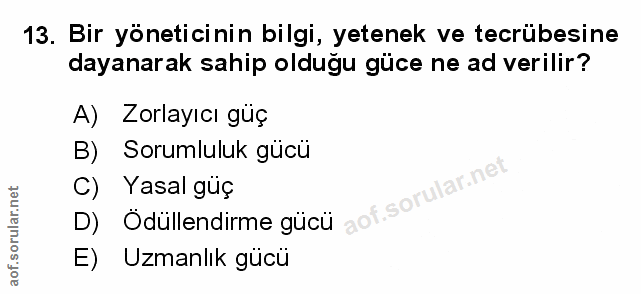 Soru 13