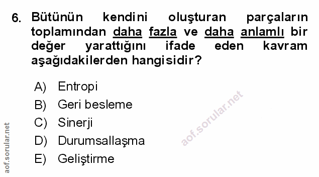 Soru 6