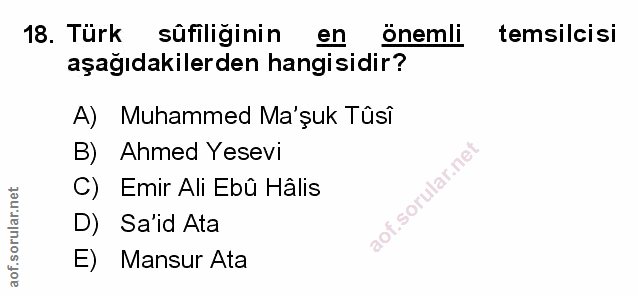 Soru 18