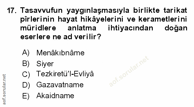 Soru 17