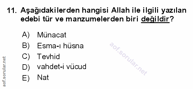 Soru 11