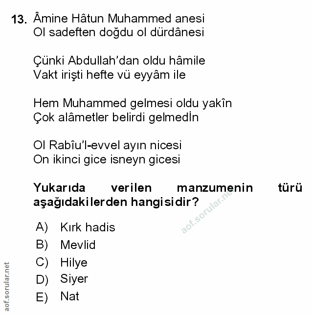 Soru 13